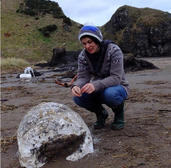 WWII Shipwreck Lard Found On Beach