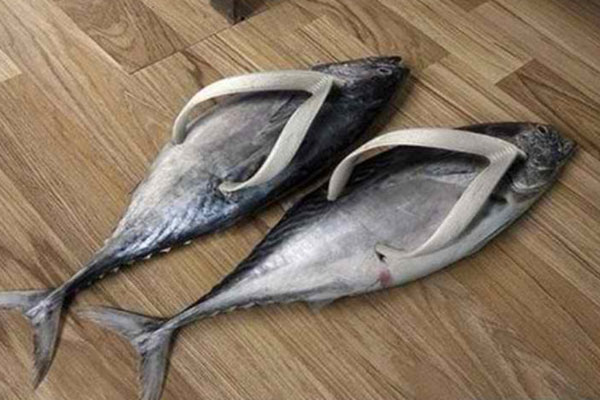 Fish Flops