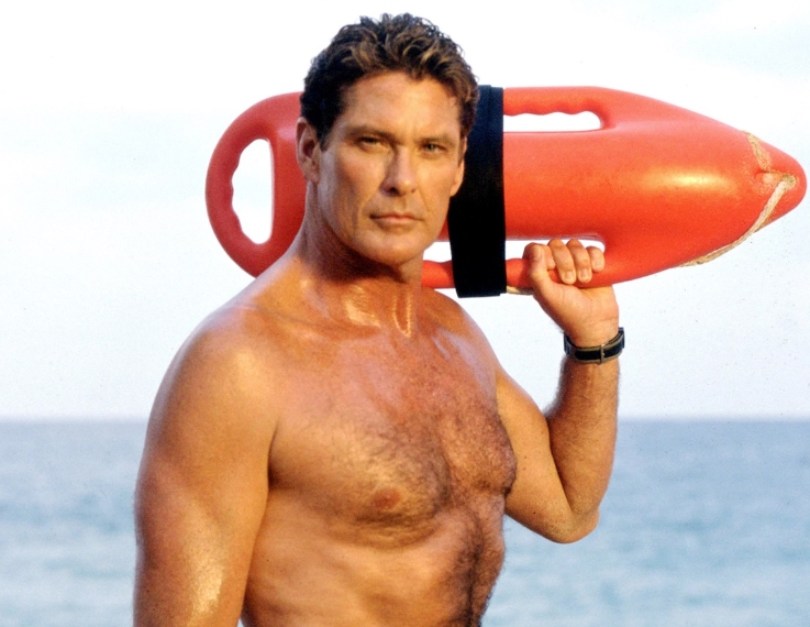 Hasselhoff Wanted His Glory
