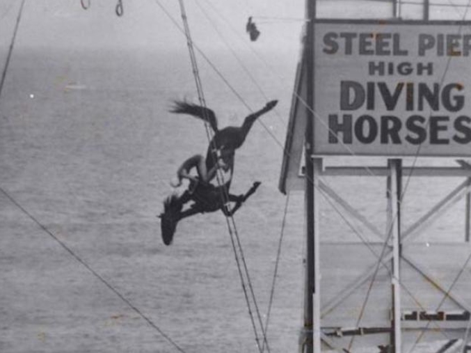 Horse Diving