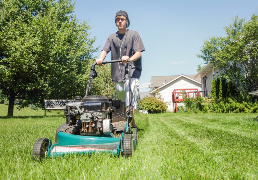 Maintain Lawnmower Blades