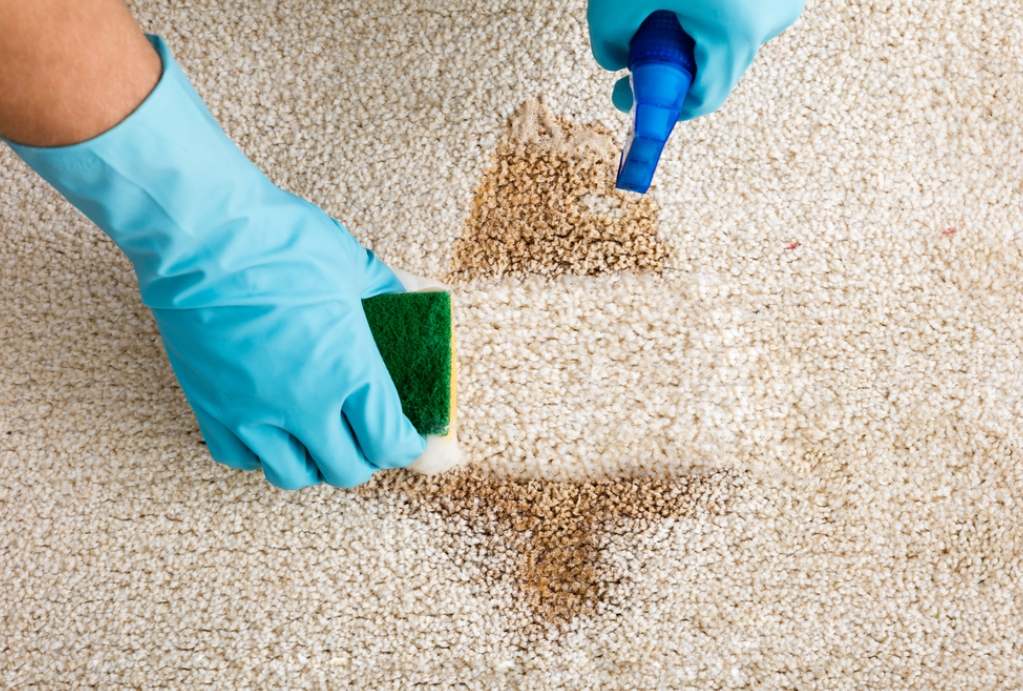 Clean Carpet Stains