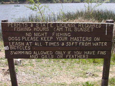 The Fishing Rules