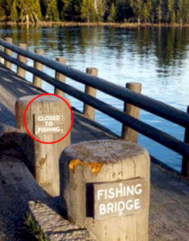 Fishing Bridge, Or Not?