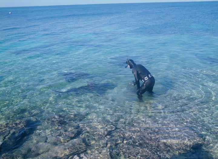 West End, Grand Bahama Islands