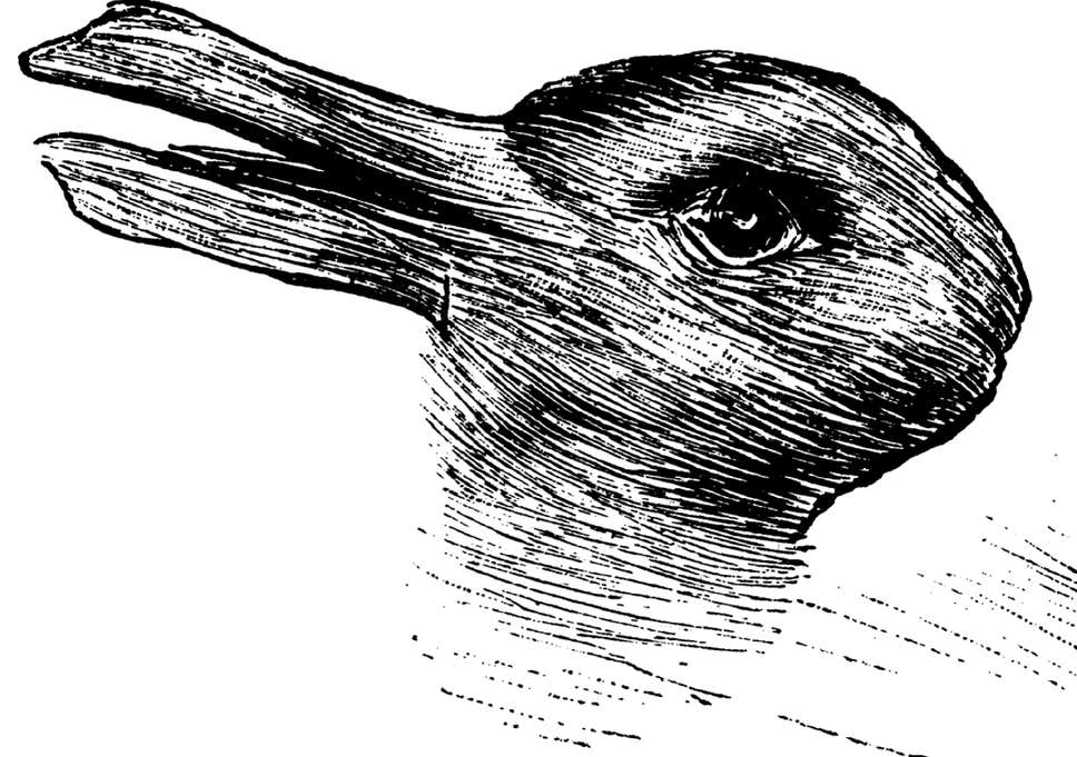 Duck Or Rabbit