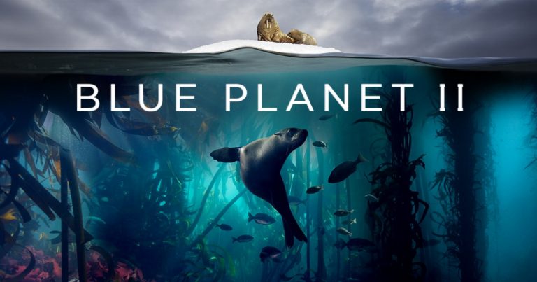 blue planet ii season 2 episode 5 blue planet ii season 2 episode 5