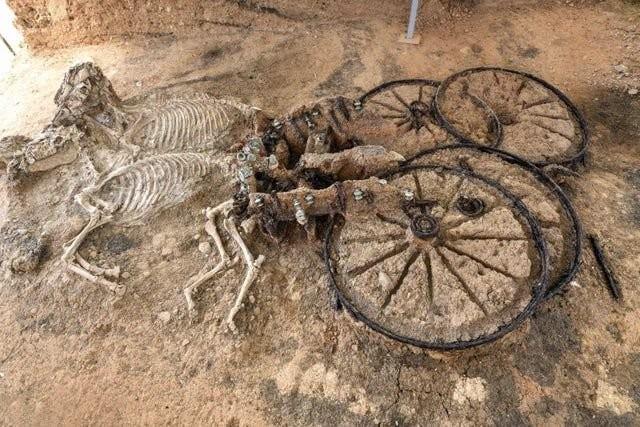 Buried Remains Of A Thracian Carriage And Its Horses
