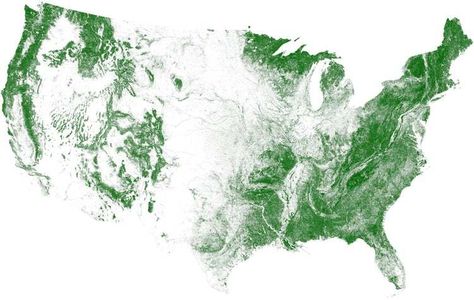 Tree Cover Visualization