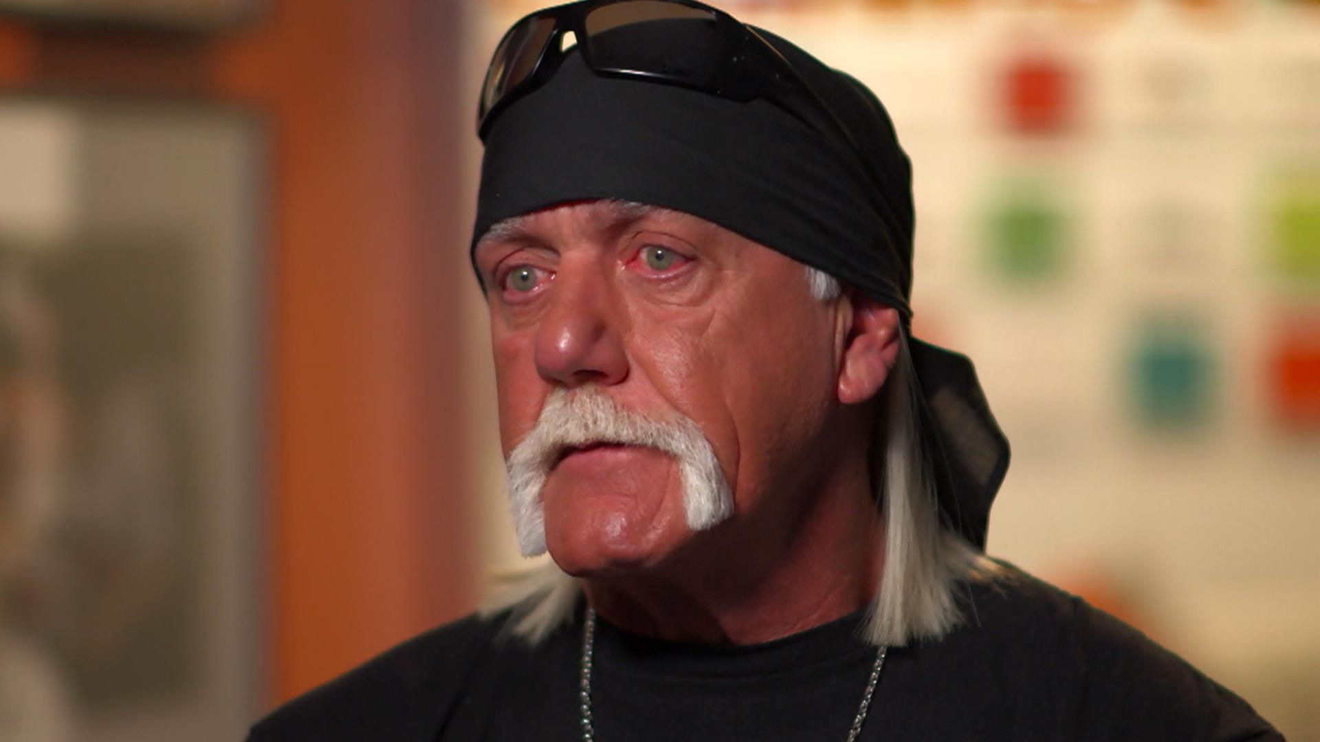 Hulk Hogan Sex Video Porn