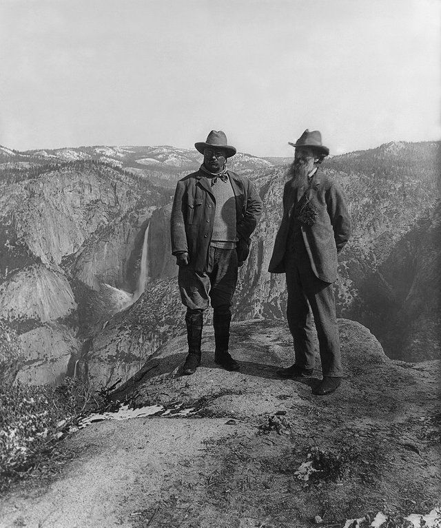 Las Reuniones De Teddy En Yosemite