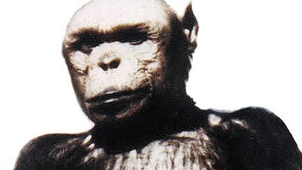 Humanzee