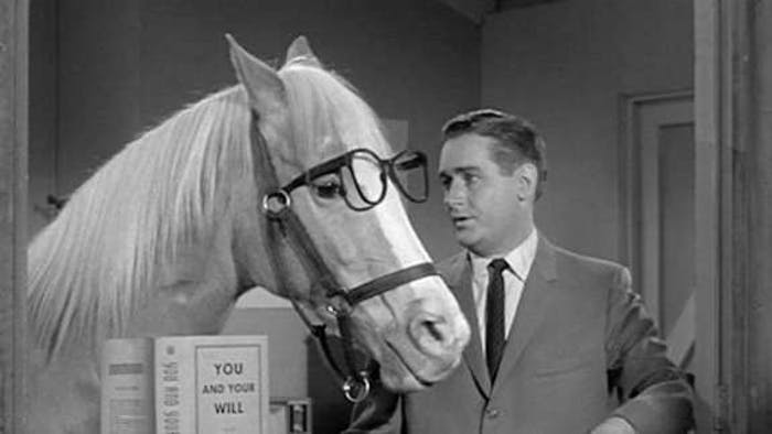 Mister Ed