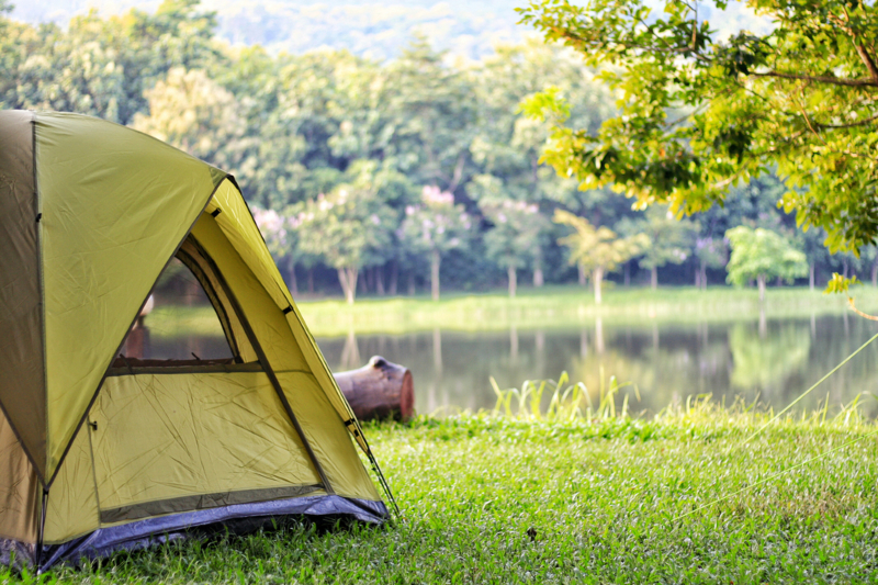 Camping,Green,Tent,In,Forest,Near,Lake