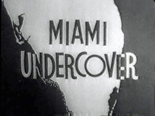 Miami Undercover