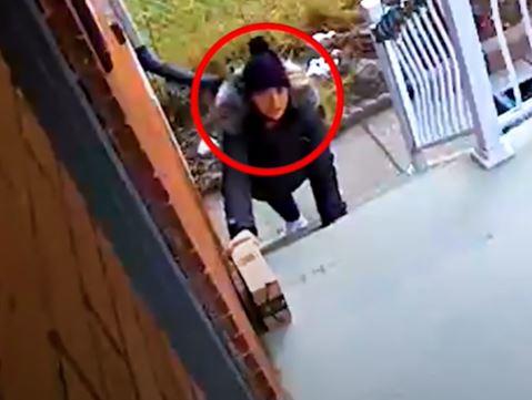 Porch Pirate 