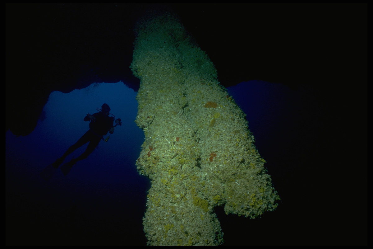 Stalactites In Blue Hole