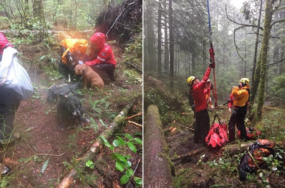 The Conditions (North Shore Rescue)